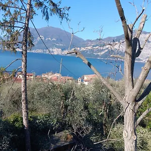 appartamenti-albatros.hotelinveneto.com/